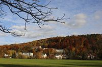 Saalewiese mit bunt gefärbten Wald bei Bad Neustadt
