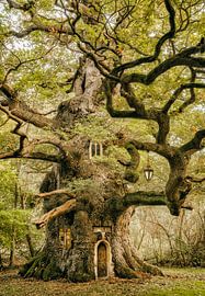 Met Elfenogen #63 sur Lars van de Goor