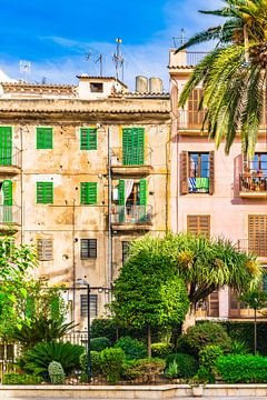 Historic city center of Palma de Majorca, Spain by Alex Winter