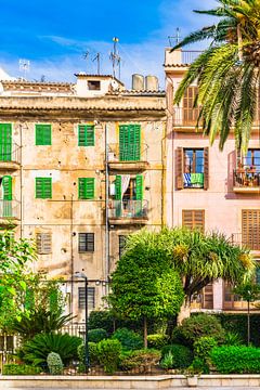 Centre historique de la ville de Palma de Majorque, Espagne sur Alex Winter