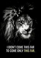 Lion Animal Motivation