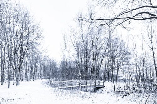 Winters sfeerbeeld van landgoed Everland (tussen Roosendaal en Nispen)