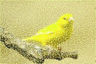 Canary Yellow van True Color Stories thumbnail