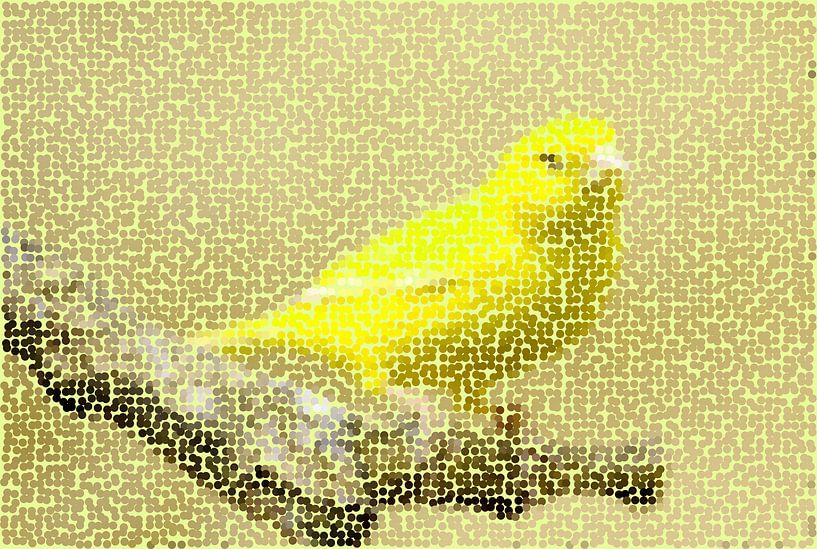 Canary Yellow van True Color Stories
