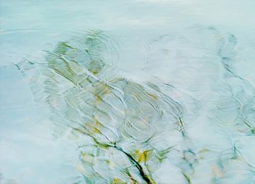 Spiegelung eines Baumes im Wasser. Impressionismus. Der Sommer. Blau. von John Quendag