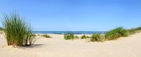 Duinen aan het strand met helmgras tijdens een mooie zomerdag aan het Noordzeestrand van Sjoerd van der Wal Fotografie thumbnail