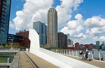 Rijnhavenbrug van Peter Hofwegen