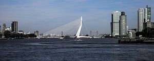 Erasmusbrug  (panorama)