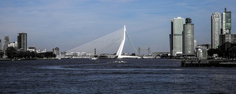 Erasmus Bridge in Rotterdam by John Ouwens