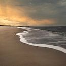 Groede van Peter Deschepper thumbnail