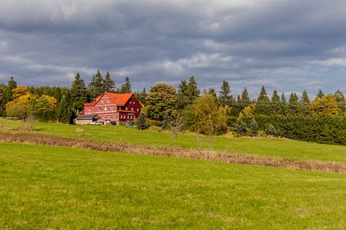 Herfstwandeling door het Thüringer Woud