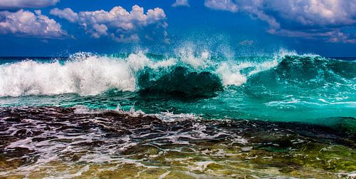 The Wave