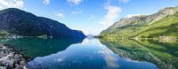 Sognefjord Panorama van Stefan Havadi-Nagy thumbnail