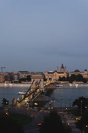 Movement by Stephany Pavon