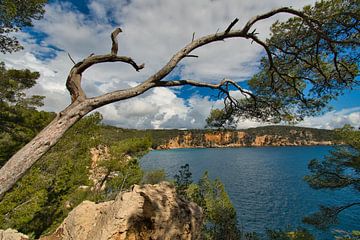 Coast near Saint-Cyr sur Mer on the Côte d'Azur by Tanja Voigt