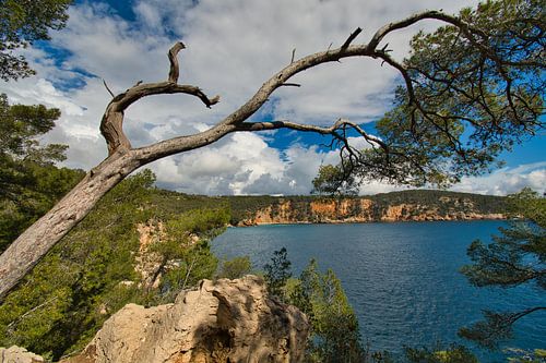 Kust bij Saint-Cyr sur Mer aan de Côte d'Azur