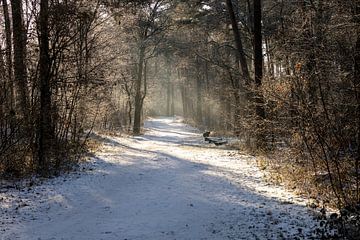 Winter en sneeuw in het bos van Jolanda Hugens Kommers