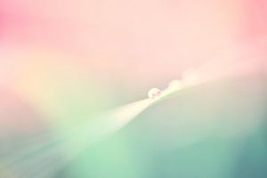 Druppel in lentekleuren van Jessica Berendsen