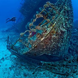 Divers at the wreck of the Giannis D by Norbert Probst