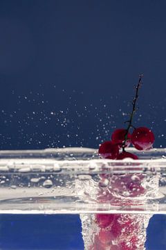 Krenten vallen in het water van Marc Heiligenstein