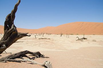 Deadvlei Namibië van Maurits Kuiper