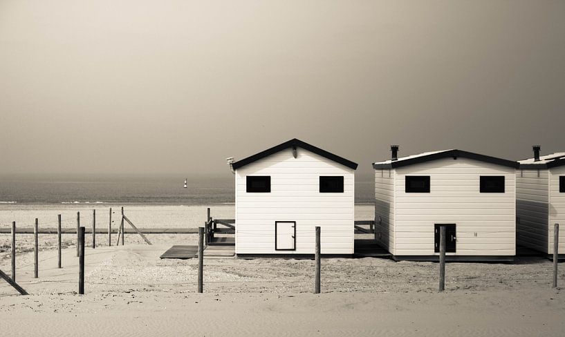 Beach Houses by Margo Smit