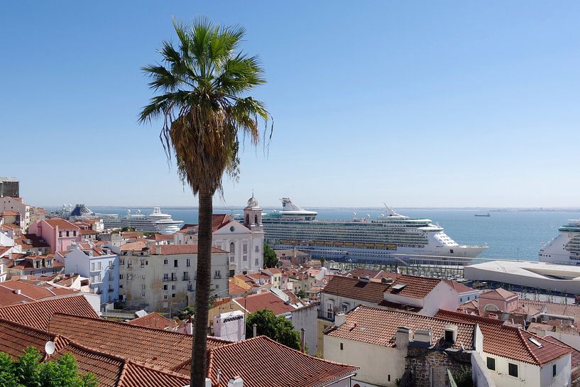 Cruise ships in the port of Lisbon by Berthold Werner