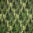 Bos uit één boom (woud met twee wandelaars) van Ruben van Gogh - smartphoneart thumbnail