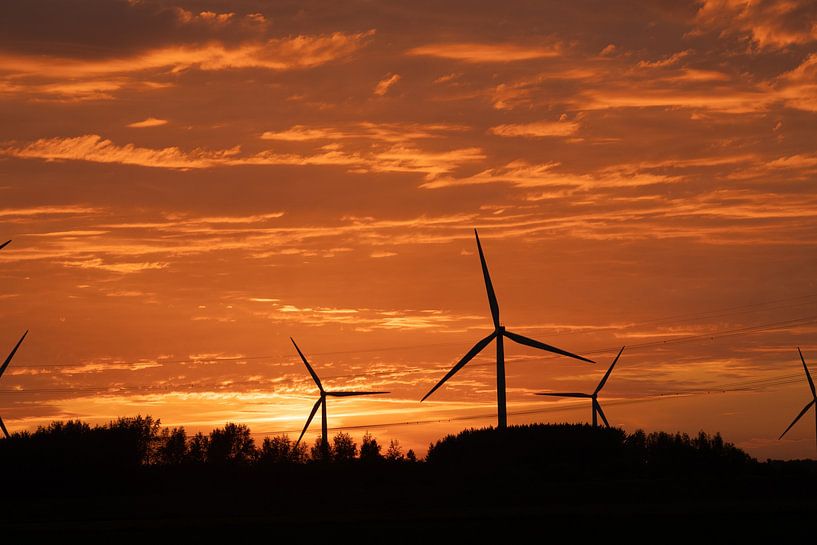 Avondzon van Maaike Krimpenfort
