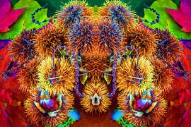 Stachelig by Jürgen Döring