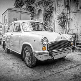 The Ambassador by Rene van Heerdt