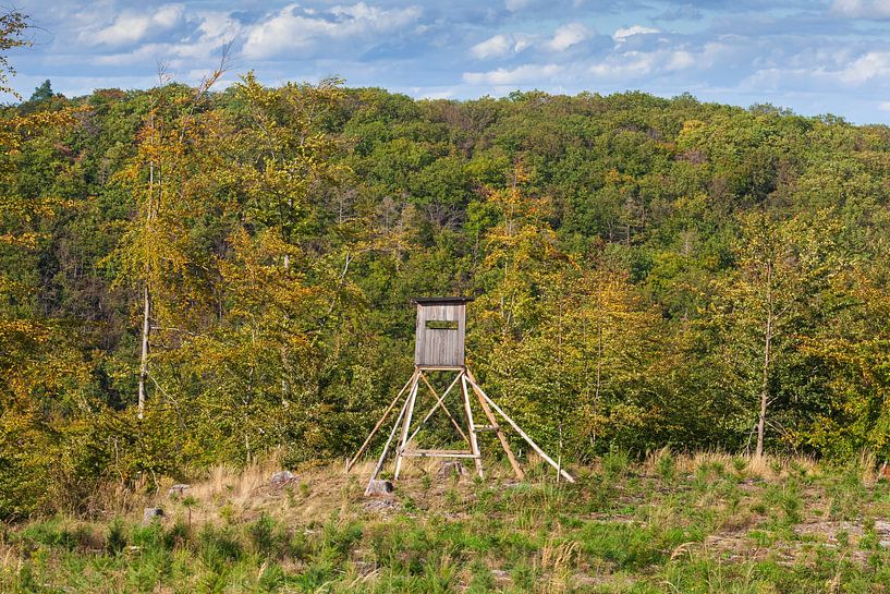 Landscape in autumn, Gernrode by Torsten Krüger