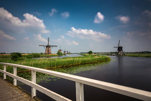 Kinderdijk windmills