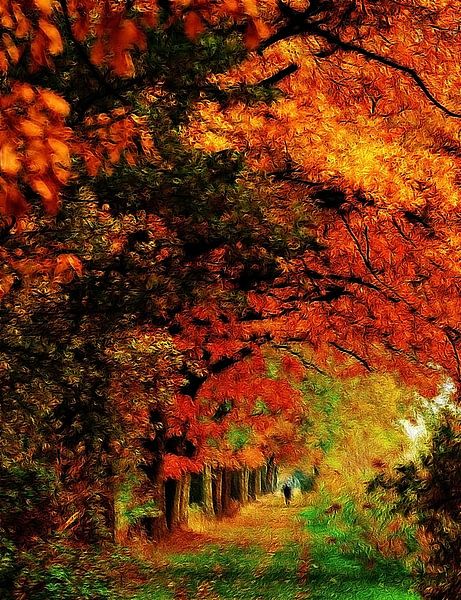 Herbstbäume van Lars Tuchel