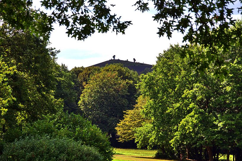 Lohmühlenpark 1 van Edgar Schermaul