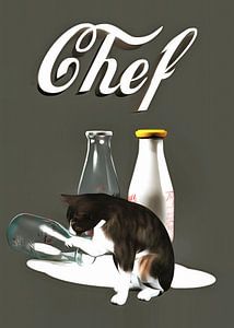 Katzen: Chefkoch