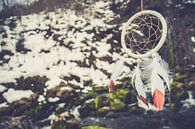 Dromenvanger in een winters landschap van Marjolijn Barten thumbnail