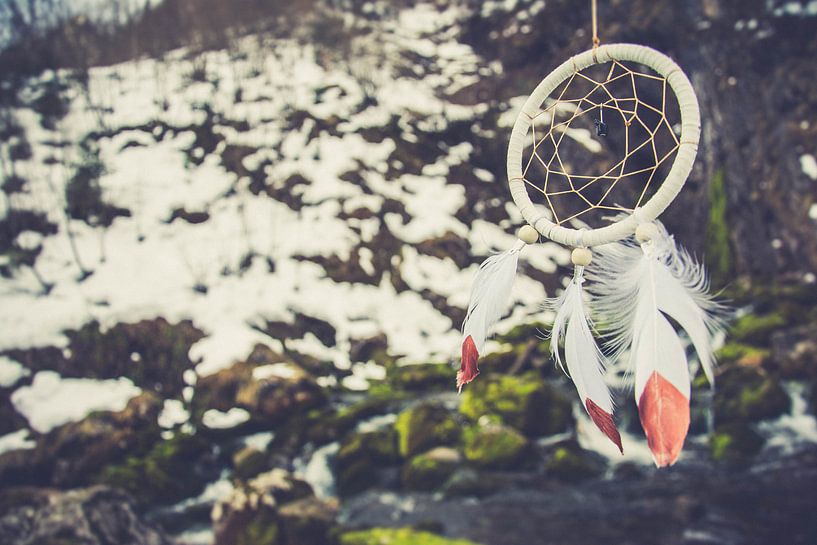 Dromenvanger in een winters landschap van Marjolijn Barten