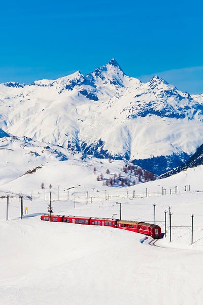 Rhätische Bahn am Berninapass in der Schweiz von Werner Dieterich