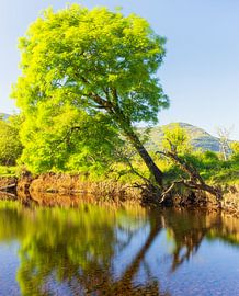 Killarney (Ireland) by Marcel Kerdijk