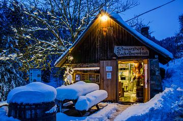 Winter in het Zwarte Woud van Hermann Schmider