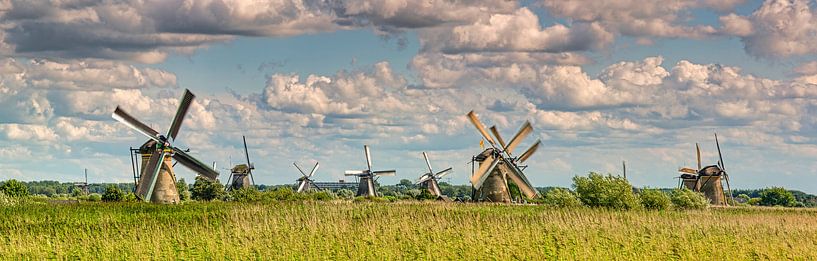 Panorama of the windmills of Kinderdijk by Frans Lemmens