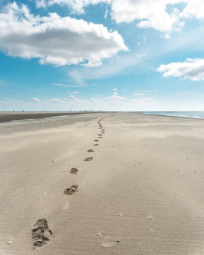 Footsteps to the sky