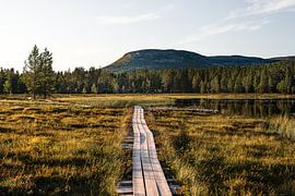 Sweden | Boardwalk to Nipfjället in Dalarna by Dylan Winter Visuals