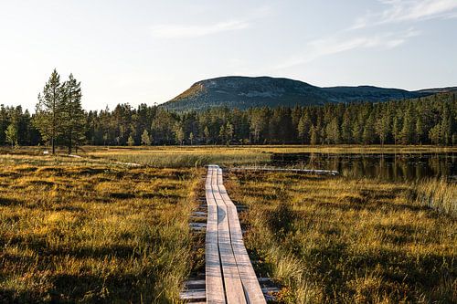 Ein lauer Sommerabend über dem Holzsteg zum Nipfjallet in Schweden