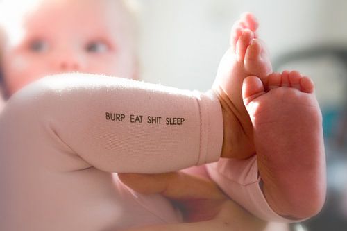 ROTER MANGER CHIER DORMIR