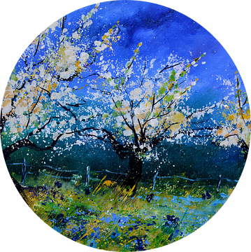 Boomgaard in de lente van pol ledent