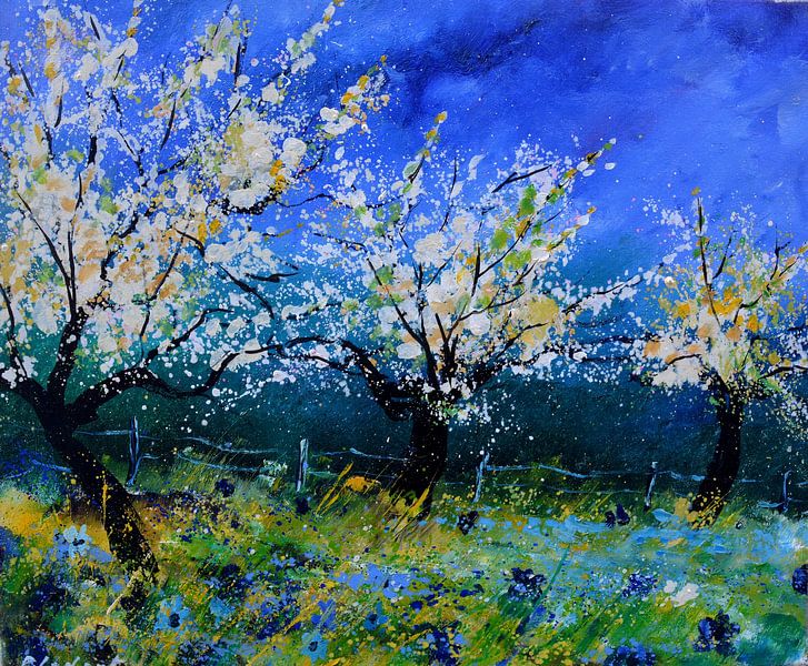 Boomgaard in de lente van pol ledent