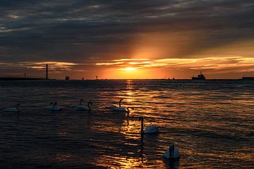 Sunset at Landtong Rozenburg. by Jaap van den Berg