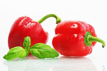 Fresh red peppers with water drops and basil leaves